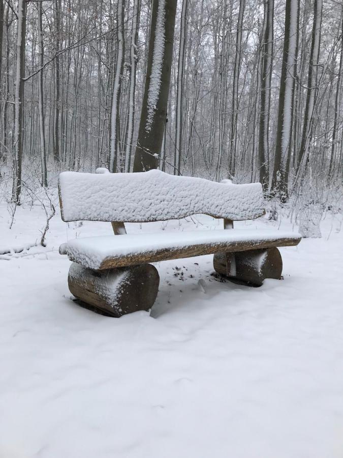 Ferienwohnung Morgensonne Am Kurpark Bad Berka - Parkplatz - Spielplatz - Wlan - 2 Schlafzimmer Экстерьер фото